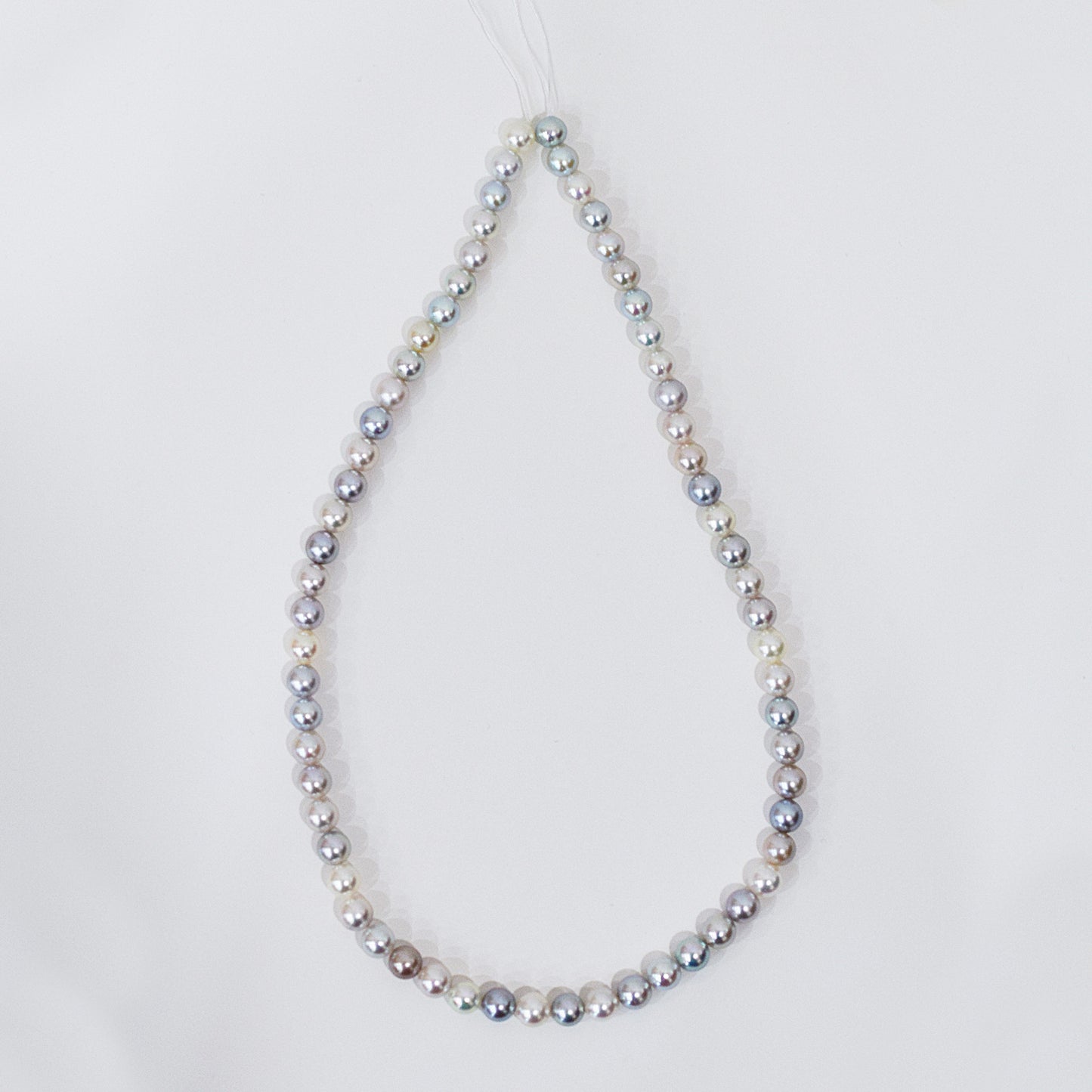 Limited to actual item Necklace Natural multi color 6.5mm - 7.3mm Real Akoya Pearl From Japan 18.1inch 46cm starand choker reenspearl