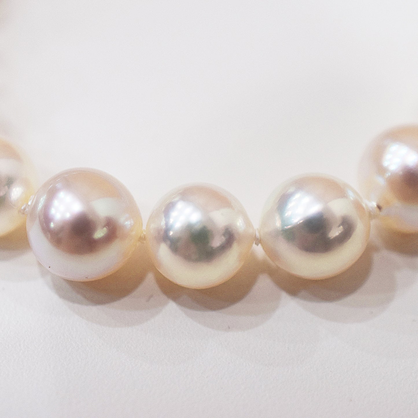<SALE> Limited to actual item 9mm - 9.5mm White pink Semi - round SV925 19.5cm 7.67inch Akoya Pearl Bracelet From Japan AkoyaPearl Japanese