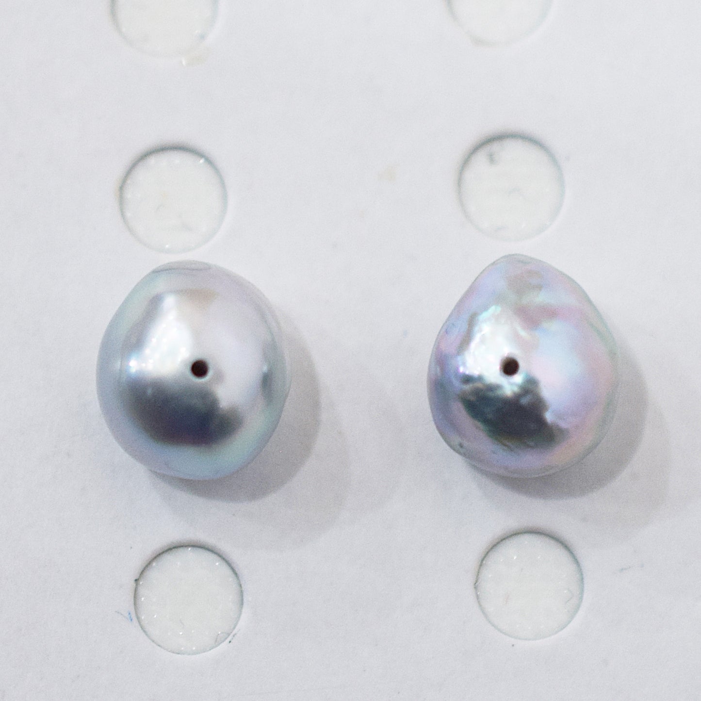 Limited to actual item Natural color akoya pearl Baroque pearl 10mm - 10.5mm 18K 14K Surgical Stainless Steel stud Earrings Japan akoyapearl