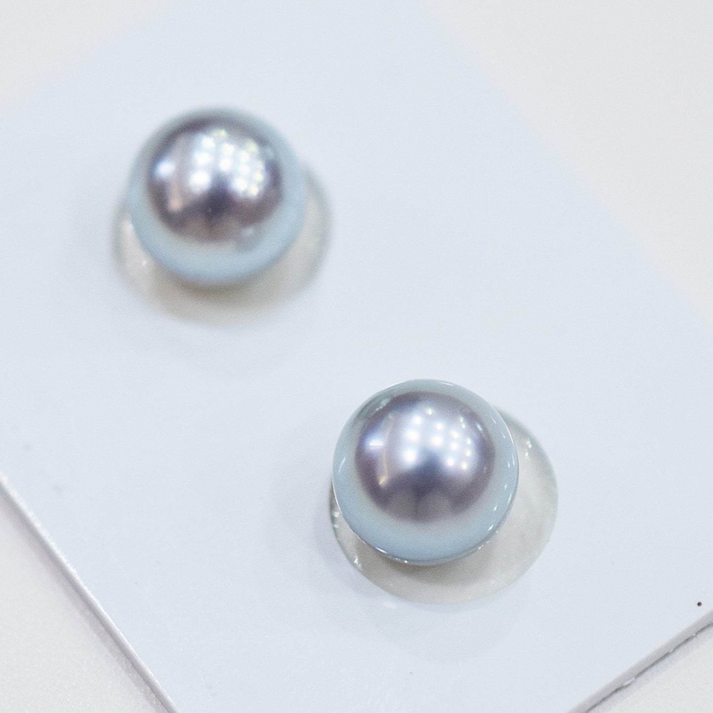 Limited to actual item Blue Rose Certificate from the Pearl Science Laboratory Natural color Loose 8mm - 8.5mm Akoya Japan Seawater akoyapearl SK-250847