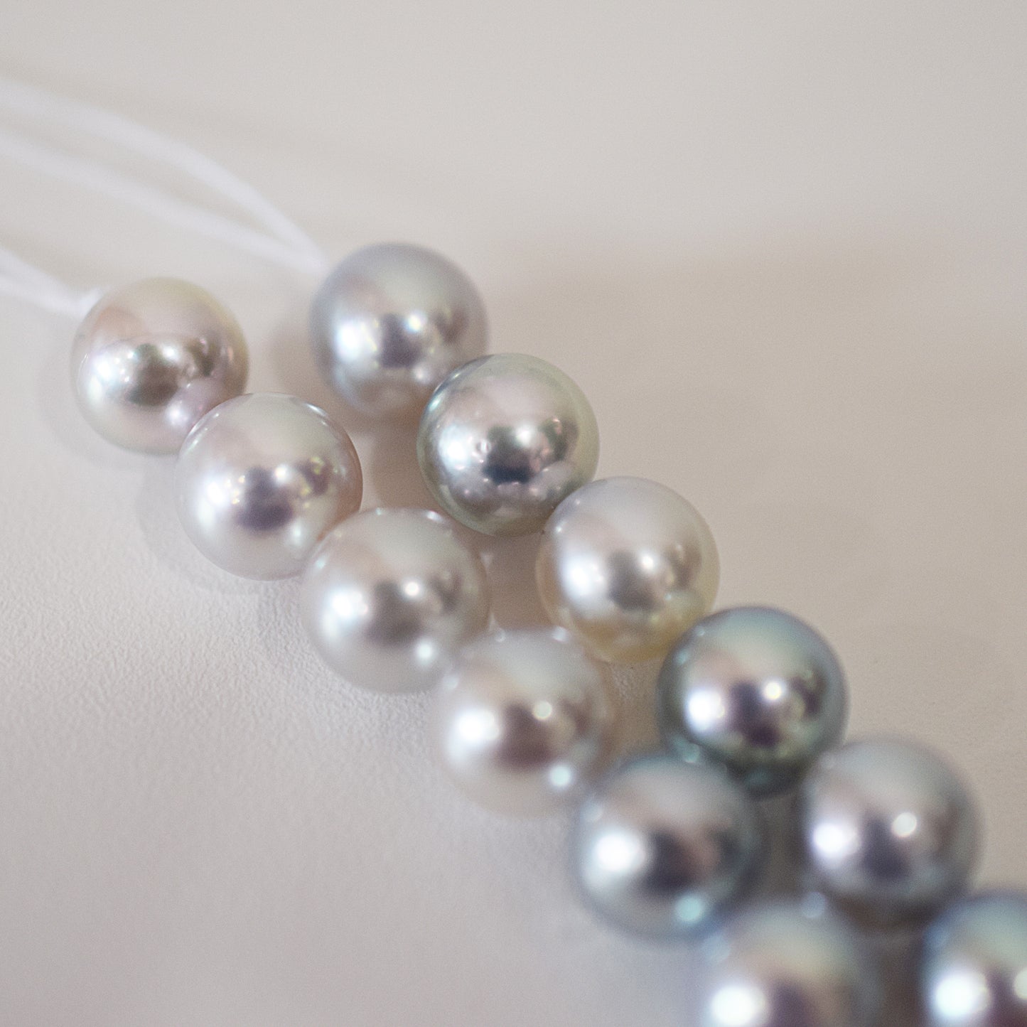 Limited to actual item Necklace Multi color Natural color Semi-round 8mm - 8.5mm Real Akoya Pearl Japan 16.1inch starand choker reenspearl