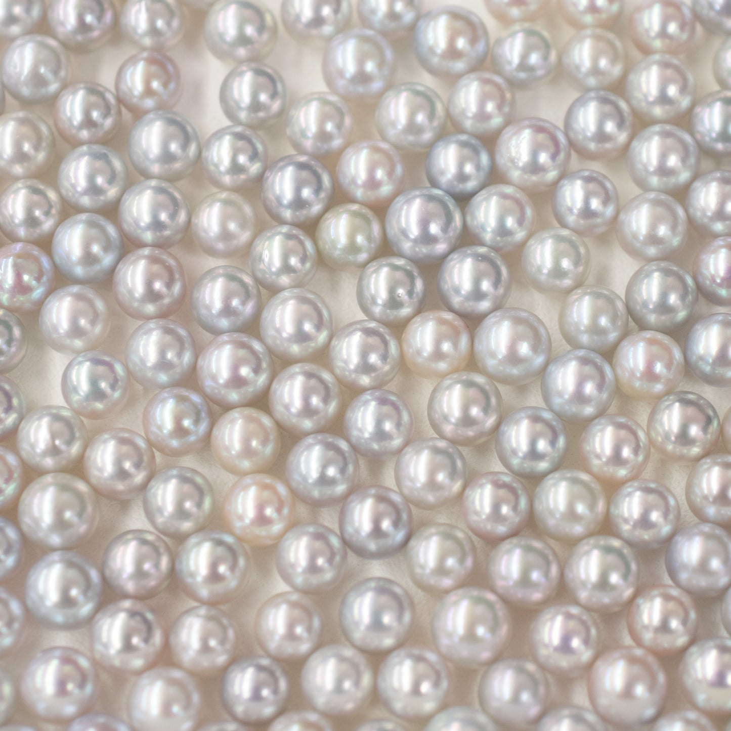 Rare Natural color madama rank 9mm - 9.5mm K18YG Venetian chain Necklace AkoyaPearl Japan あこや 真珠