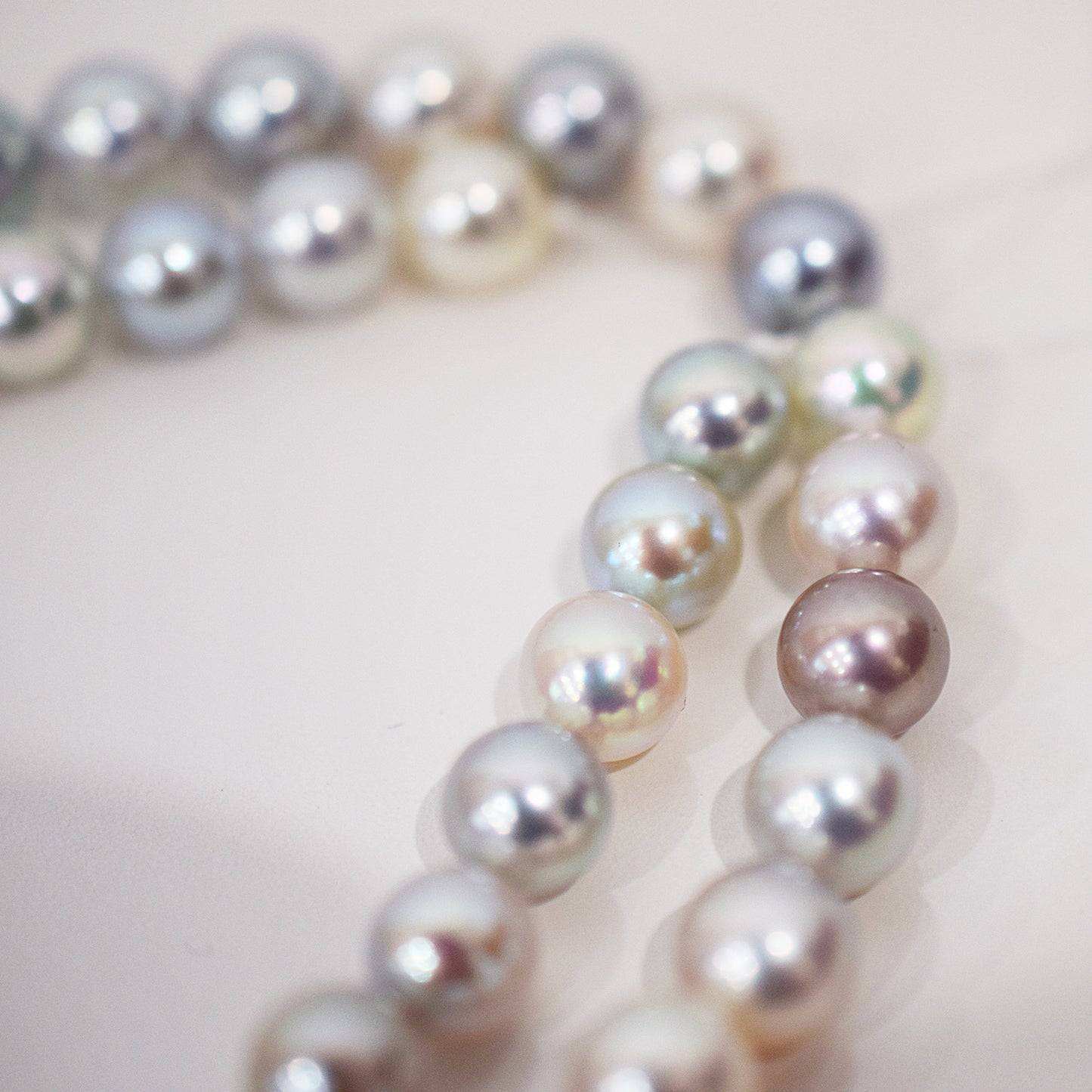 Limited to actual item Necklace Natural multi color 6.5mm - 7.3mm Real Akoya Pearl From Japan 18.1inch 46cm starand choker reenspearl