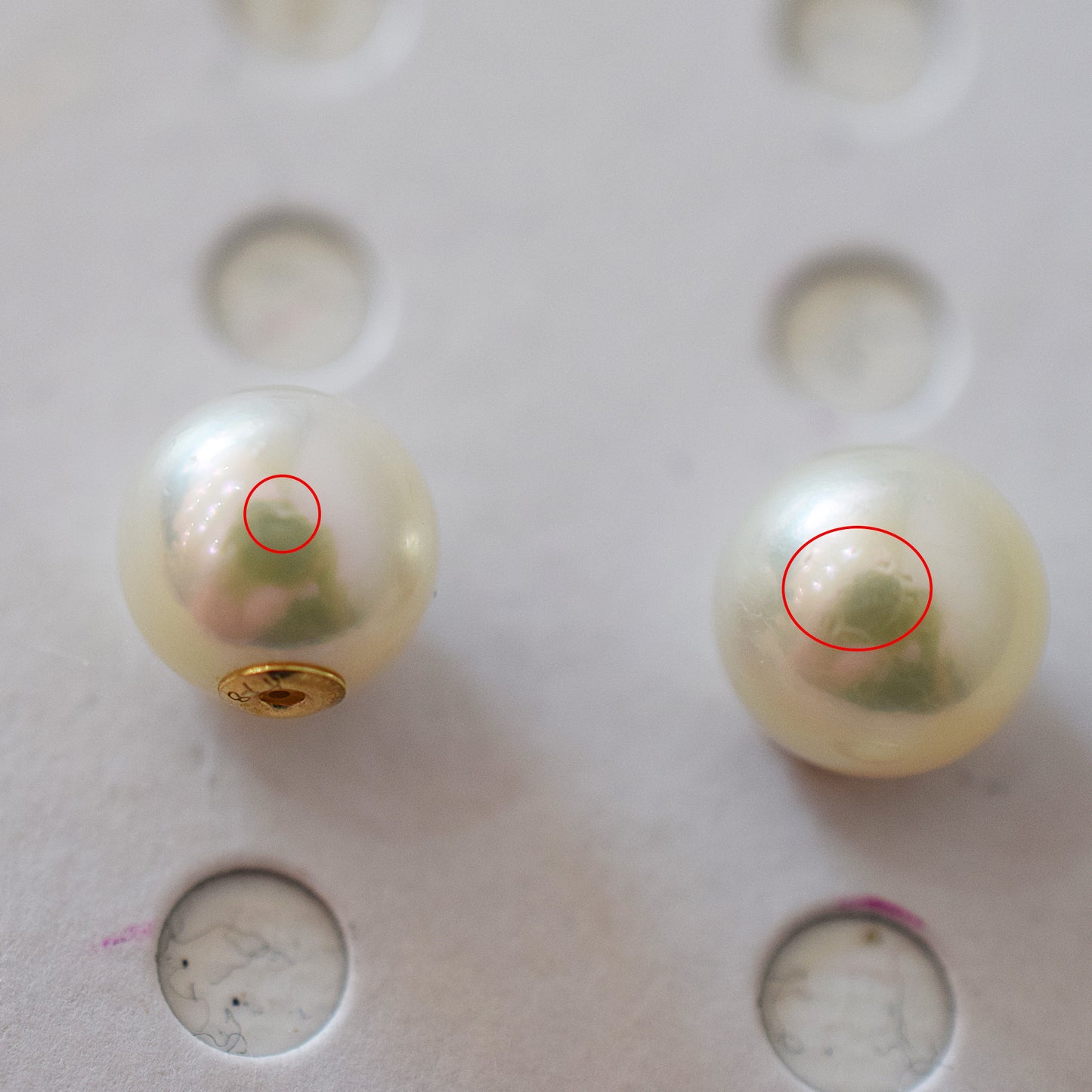 <SALE> Limited to actual item 8.5mm - 9mm Natural color Sea Real Akoya Pearl Earring back Only K18 Japanese akoyapearl reenspearl 日本 天草 真珠 あこや