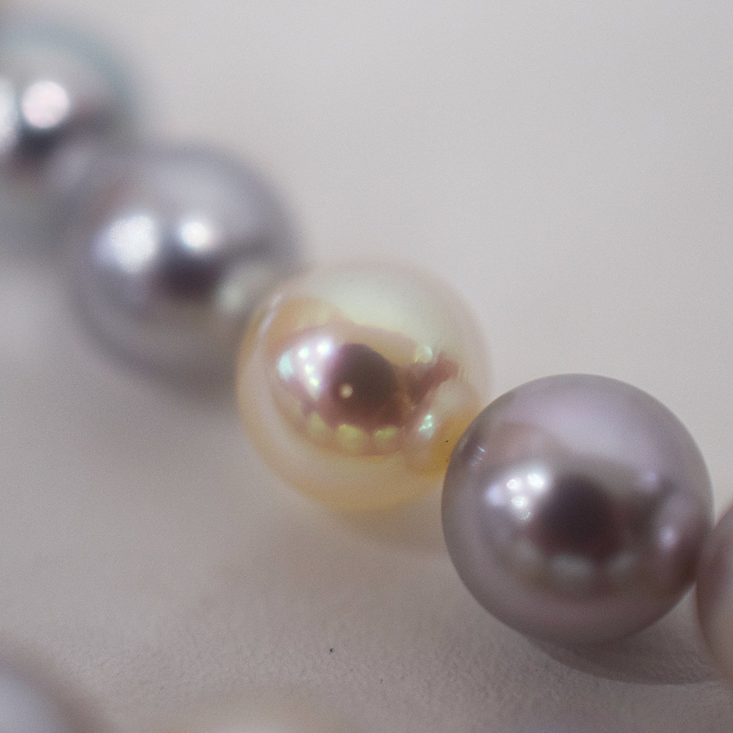 Limited to actual item Necklace Natural multi color 6.5mm - 7.3mm Real Akoya Pearl From Japan 18.1inch 46cm starand choker reenspearl