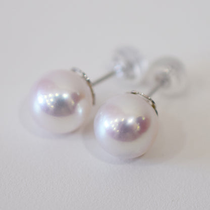 Actual product Whitepink 8mm - 8.5mm Seawater Akoya Pearl Stud Earring K14WG From Japan Japanese Seawater reenspearl