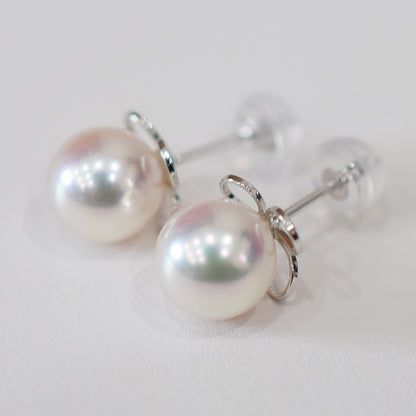 <SALE> Limited to actual item Whitepink 7.5mm - 8mm Seawater Akoya Pearl Stud Earring 14K From Japan Japanese Seawater reenspearl