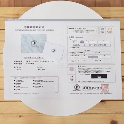 Actual product Blue Rose Certificate from the Pearl Science Laboratory Natural color Loose 7.9mm Akoya Earring Japan Seawater akoyapearl SK-440012