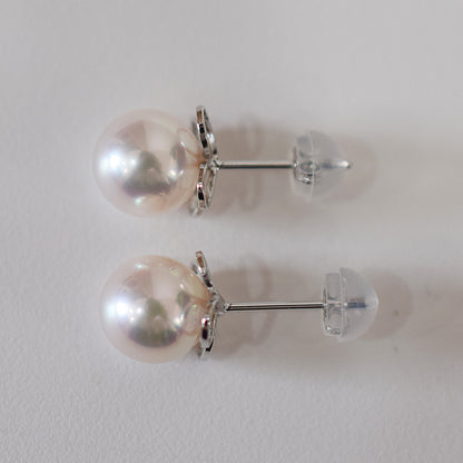 <SALE> Limited to actual item Whitepink 7.5mm - 8mm Seawater Akoya Pearl Stud Earring 14K From Japan Japanese Seawater reenspearl