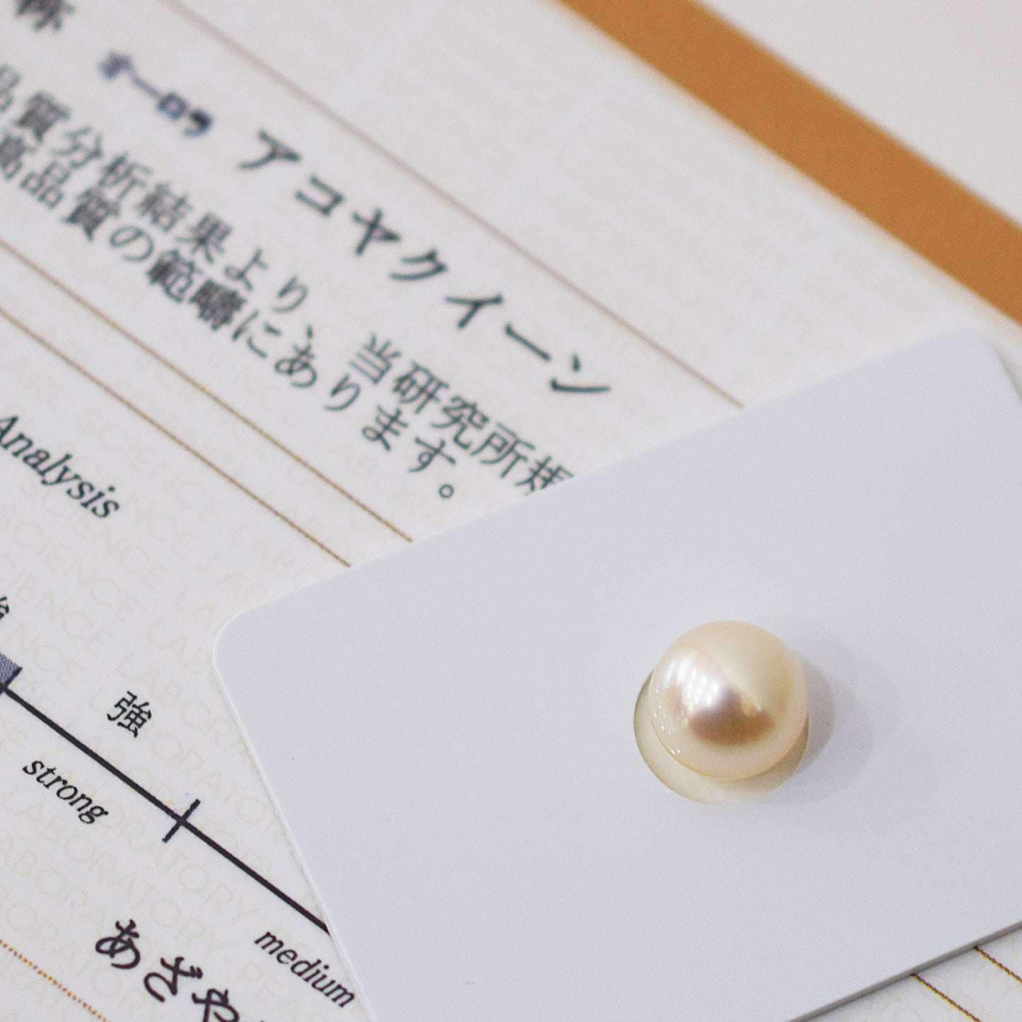Actual product Akoya Queen Certificate from the Pearl Science Laboratory Natural color Loose 9mm Akoya Earring Japan Seawater akoyapearl SS-330248