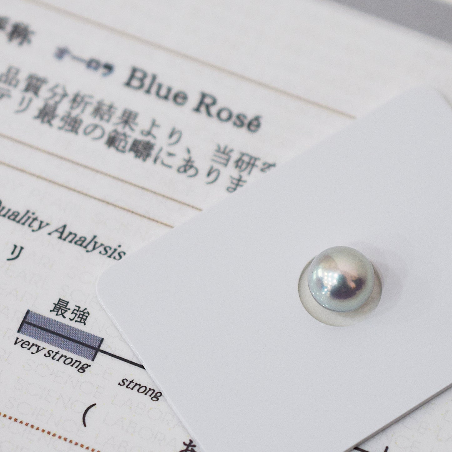 Actual product Blue Rose Certificate from the Pearl Science Laboratory Natural color Loose 7.9mm Akoya Earring Japan Seawater akoyapearl SK-440012