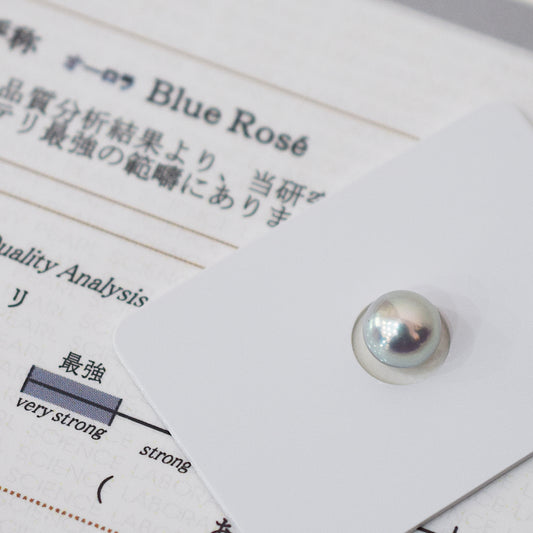 Actual product Blue Rose Certificate from the Pearl Science Laboratory Natural color Loose 7.9mm pendant top Japan Seawater akoyapearl SK-440012