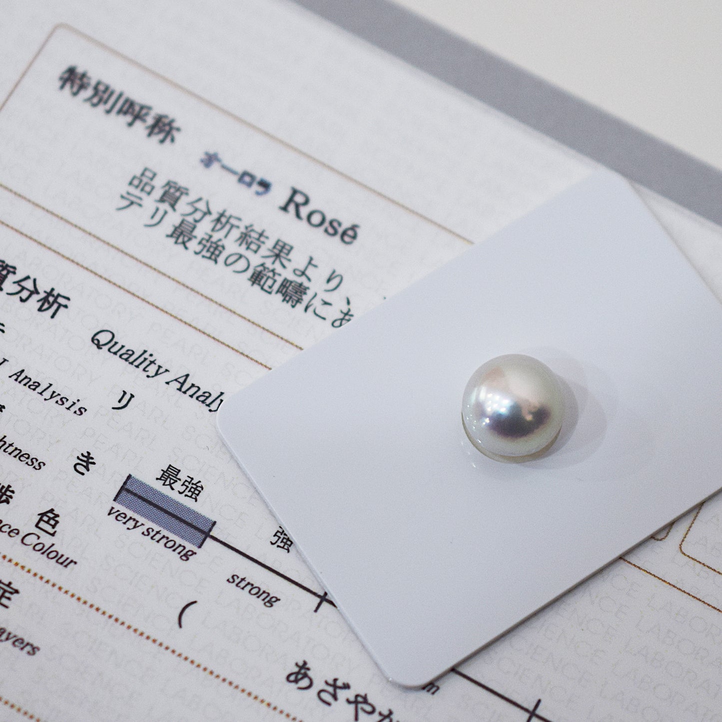 Actual product Rose Certificate from the Pearl Science Laboratory Natural color Loose 10.1mm Akoya Earring Japan Seawater akoyapearl SK-439548