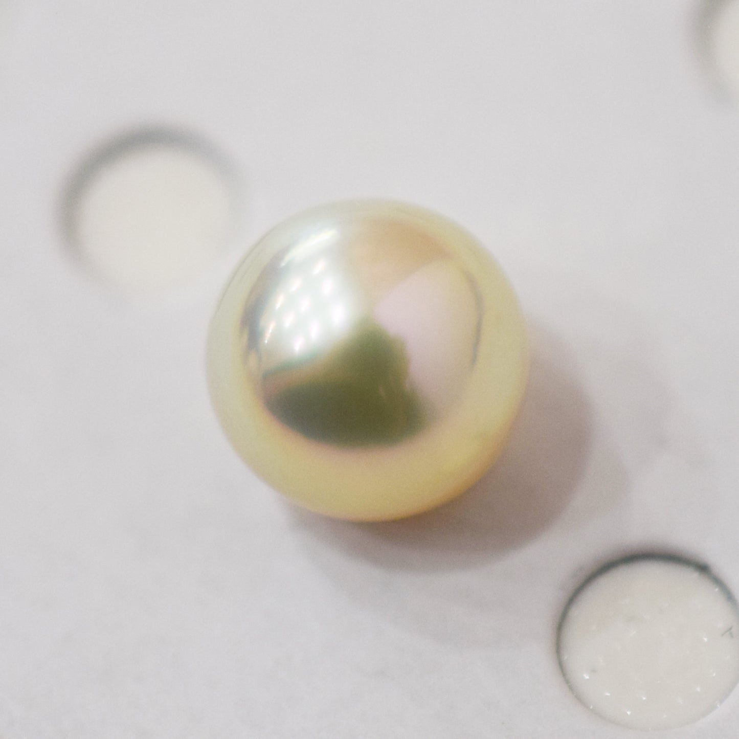 <Loose only> A rank 8.6mm Madama rank Natural 1pc Real Akoya Pearl Ring Ear cuff From Japan Japanese Seawater pearl akoyapearl reenspearl あこや真珠 日本