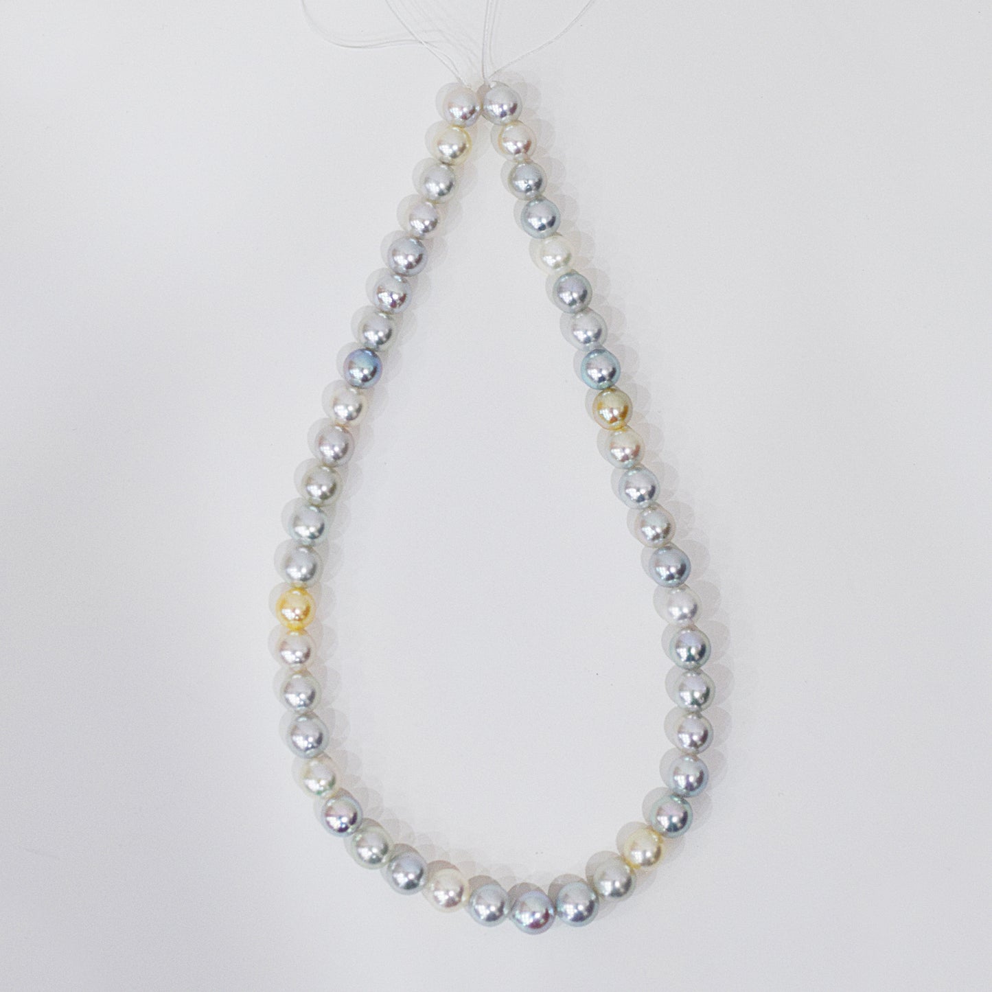 Limited to actual item Necklace Natural multi color 9mm - 9.7mm Real Akoya Pearl From Japan 16.7inch 42.5cm starand choker reenspearl