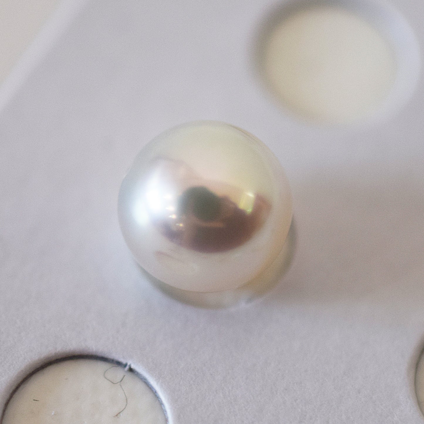 A rank 8.4mm Natural 1pc akoya pearl Loose 1pc From Japan Japanese Seawater pearl akoyapearl reenspearl あこや真珠