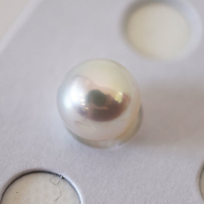 A rank 8.4mm Natural 1pc akoya pearl Loose 1pc From Japan Japanese Seawater pearl akoyapearl reenspearl あこや真珠