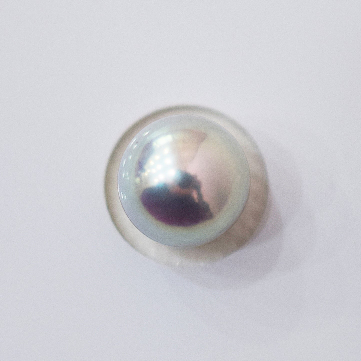 Actual product Blue Rose Certificate from the Pearl Science Laboratory Natural color Loose 7.9mm Akoya Earring Japan Seawater akoyapearl SK-440012