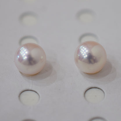 AAA rank 8mm - 8.5mm White pink tennyo color Akoya Pearl Earring Japan Japanese Seawater pearl reenspearl 18K 14K akoyapearl 1pair 2pc