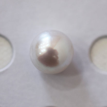 A rank 9.5mm Natural 1pc akoya pearl Loose 1pc From Japan Japanese Seawater pearl akoyapearl reenspearl あこや真珠