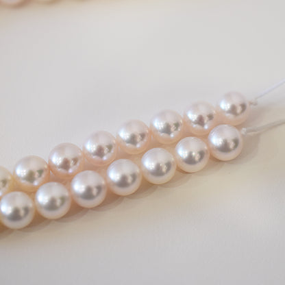 Actual product Hanadama rank white pink 7mm - 7.5mm Sea Real Akoya pearl strand choker necklace Japan Japanese Seawater Silver925