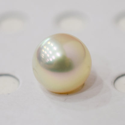<Loose only> A rank 8.6mm Madama rank Natural 1pc Real Akoya Pearl Ring Ear cuff From Japan Japanese Seawater pearl akoyapearl reenspearl あこや真珠 日本