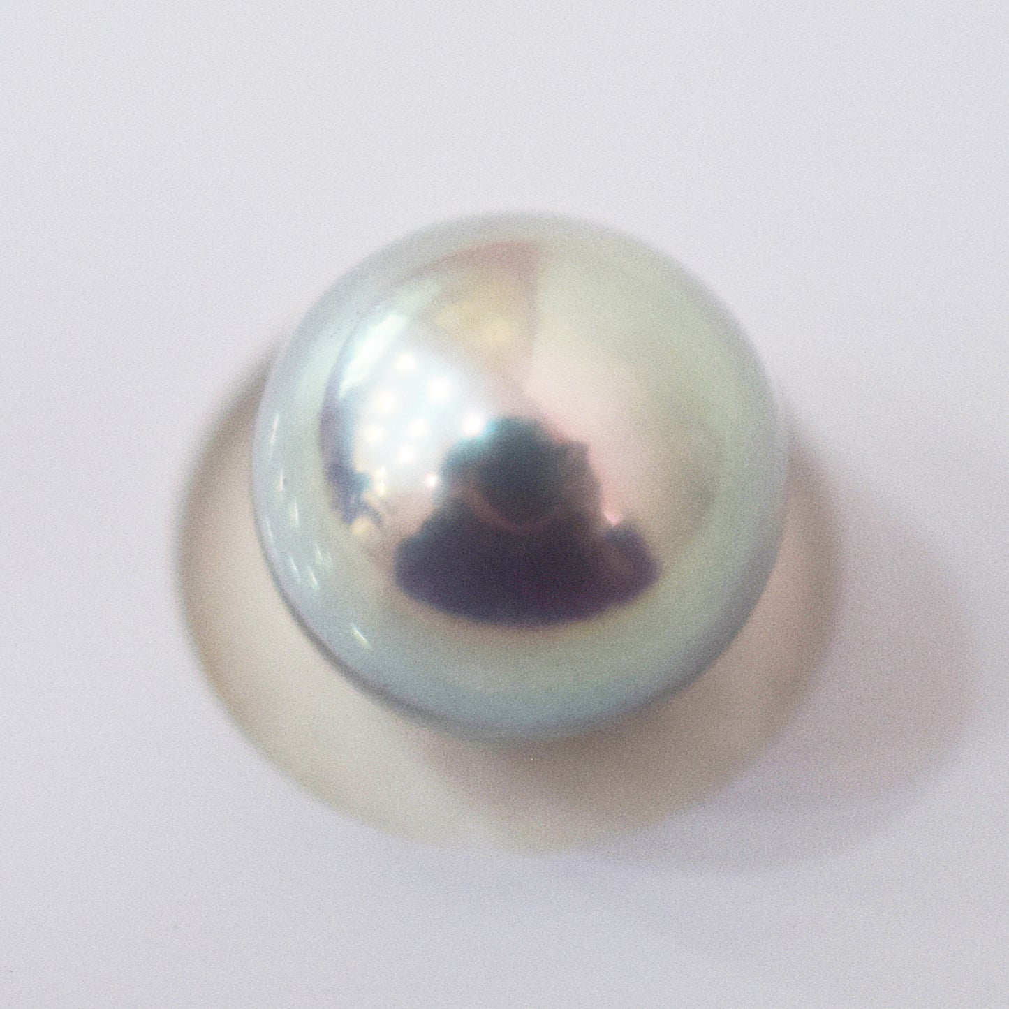 Actual product Blue Rose Certificate from the Pearl Science Laboratory Natural color Loose 7.9mm Akoya Earring Japan Seawater akoyapearl SK-440012