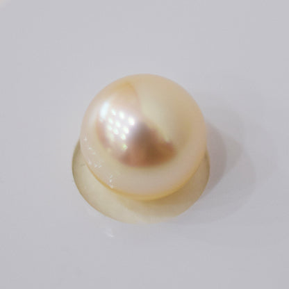 Actual product Akoya Queen Certificate from the Pearl Science Laboratory Natural color Loose 9mm Akoya Earring Japan Seawater akoyapearl SS-330248