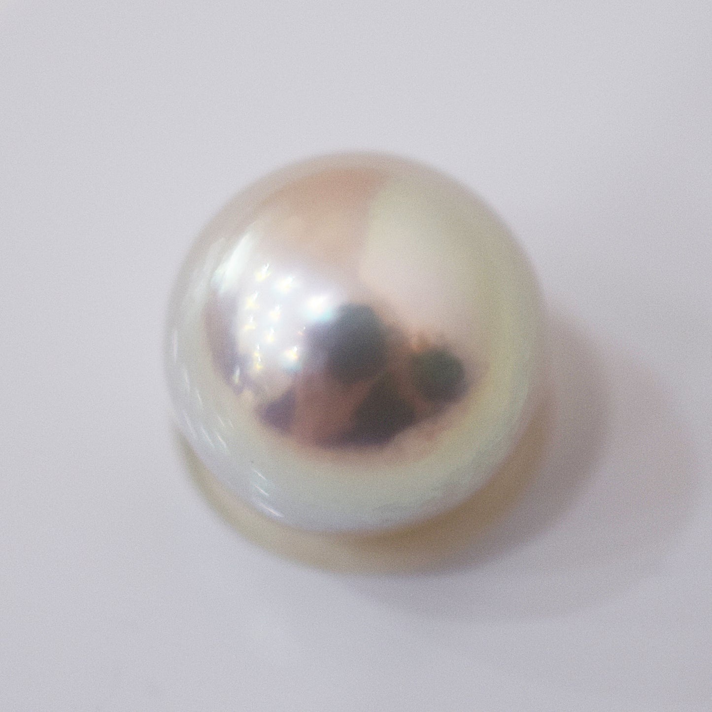 Actual product Rose Certificate from the Pearl Science Laboratory Natural color Loose 10.1mm Akoya Earring Japan Seawater akoyapearl SK-439548