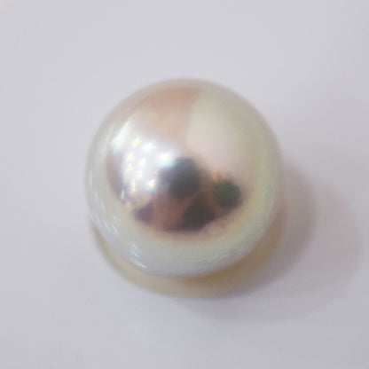 Actual product Rose Certificate from the Pearl Science Laboratory Natural color Loose 10.1mm Akoya Earring Japan Seawater akoyapearl SK-439548