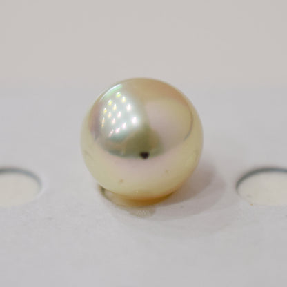 <Loose only> A rank 8.6mm Madama rank Natural 1pc Real Akoya Pearl Ring Ear cuff From Japan Japanese Seawater pearl akoyapearl reenspearl あこや真珠 日本