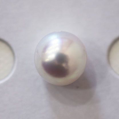 A rank 9.5mm Natural 1pc akoya pearl Loose 1pc From Japan Japanese Seawater pearl akoyapearl reenspearl あこや真珠
