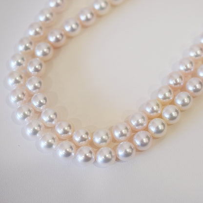 Actual product Hanadama rank white pink 7mm - 7.5mm Sea Real Akoya pearl strand choker necklace Japan Japanese Seawater Silver925