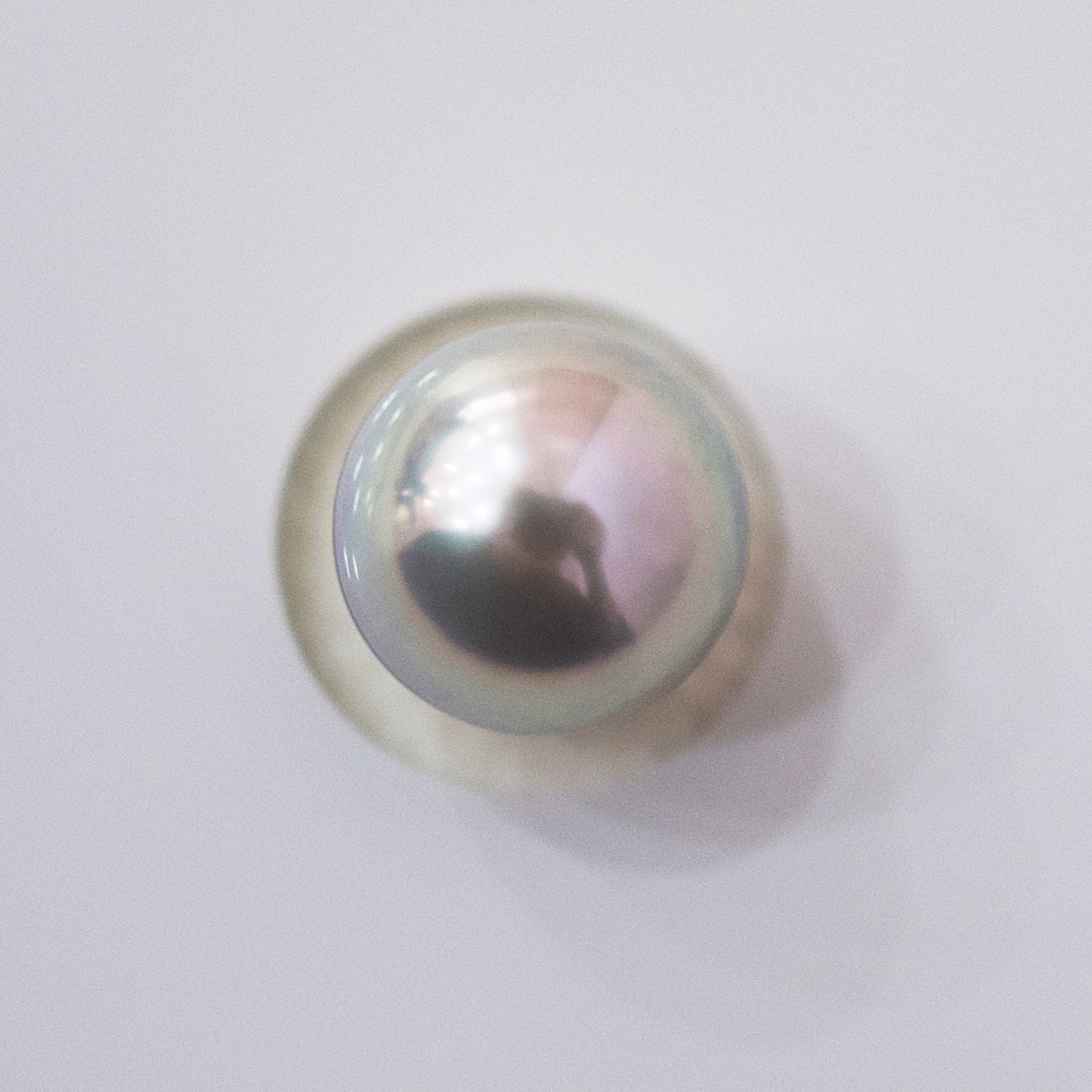 Actual product Blue Rose Certificate from the Pearl Science Laboratory Natural color Loose 7.9mm Akoya Earring Japan Seawater akoyapearl SK-440012