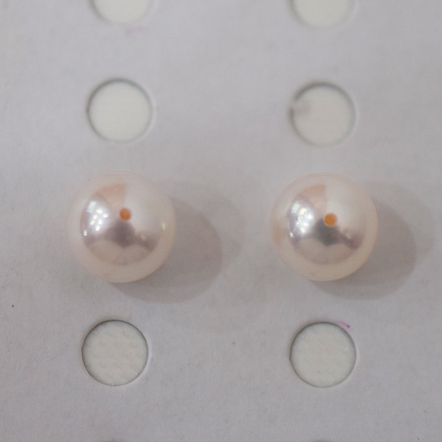 AAA rank 8mm - 8.5mm White pink tennyo color Akoya Pearl Earring Japan Japanese Seawater pearl reenspearl 18K 14K akoyapearl 1pair 2pc