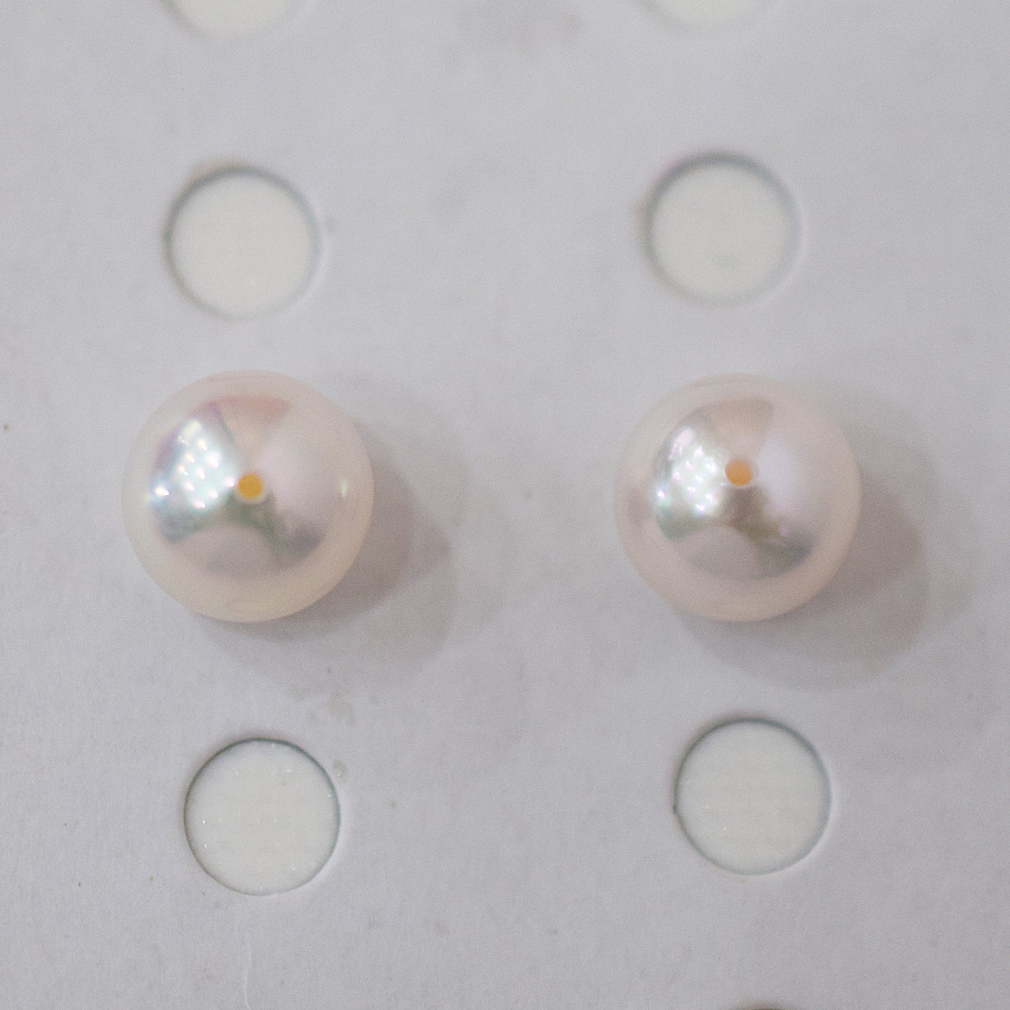 AAA rank 8mm - 8.5mm White pink tennyo color Akoya Pearl Earring Japan Japanese Seawater pearl reenspearl 18K 14K akoyapearl 1pair 2pc