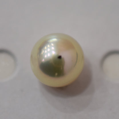 <Loose only> A rank 8.6mm Madama rank Natural 1pc Real Akoya Pearl Ring Ear cuff From Japan Japanese Seawater pearl akoyapearl reenspearl あこや真珠 日本