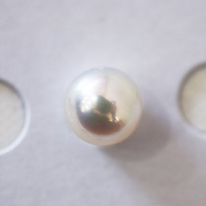 A rank 8.4mm Natural 1pc akoya pearl Loose 1pc From Japan Japanese Seawater pearl akoyapearl reenspearl あこや真珠