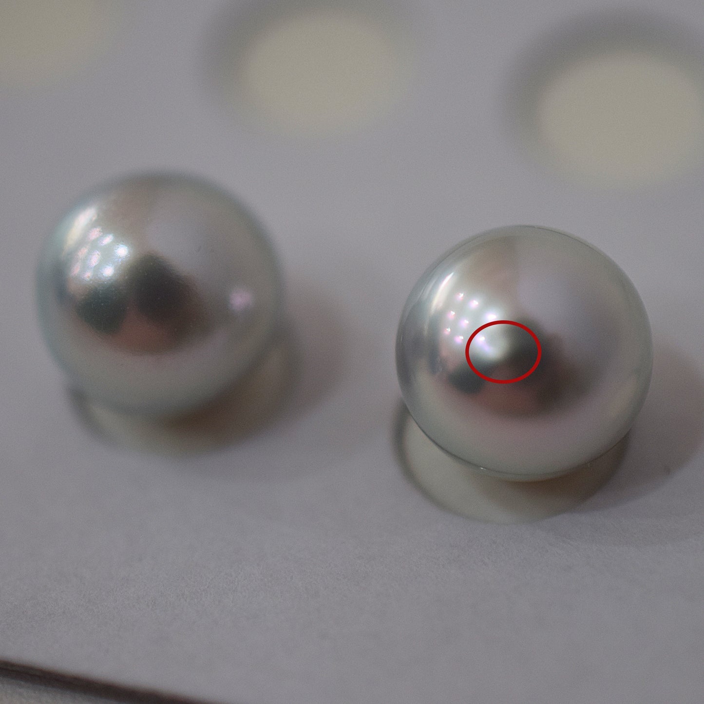 A rank Natural color 8.5mm -  9mm 1pair 2pc Loose Real akoya pearl Japan Japanese Seawater reenspearl あこや 真珠 日本