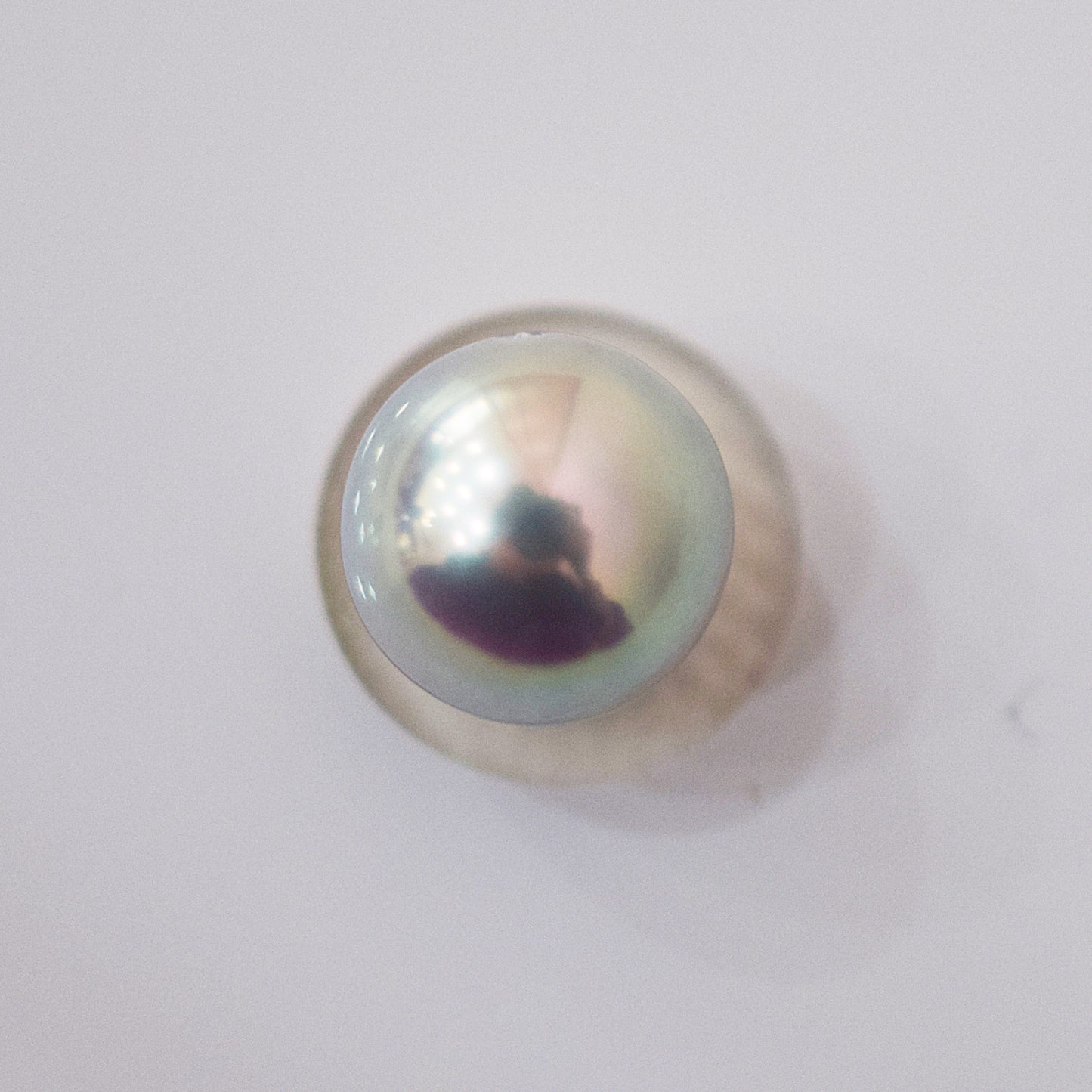 Actual product Blue Rose Certificate from the Pearl Science Laboratory Natural color Loose 7.9mm Akoya Earring Japan Seawater akoyapearl SK-440012