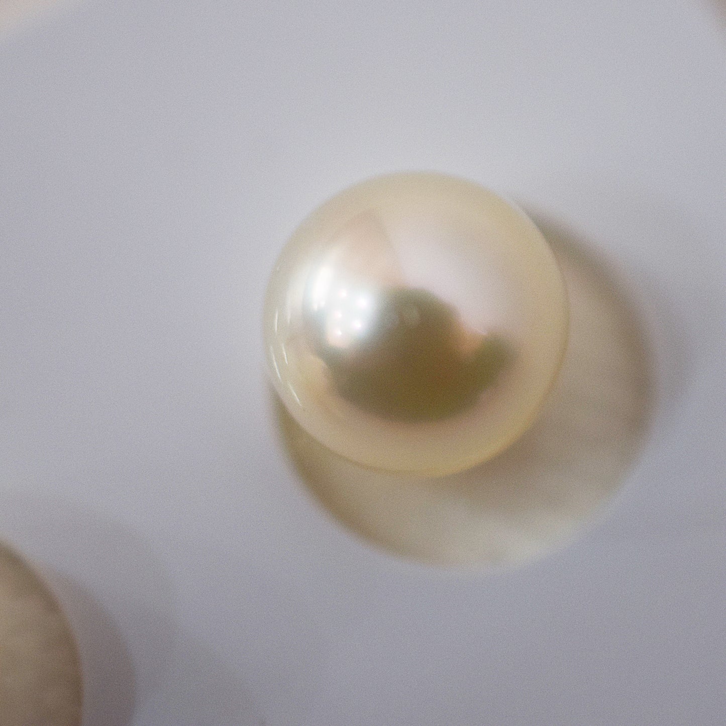 Actual product 7.5mm - 8mm Hanadama Certificate from the Pearl Science Laboratory Natural color Loose Akoya Japan Seawater akoyapearl SS-330166