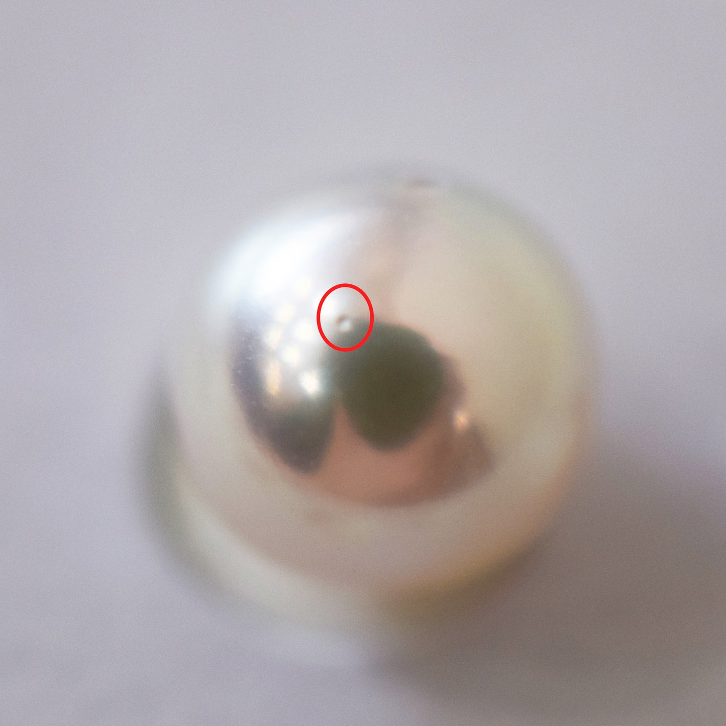 A rank 8.4mm Natural 1pc akoya pearl Loose 1pc From Japan Japanese Seawater pearl akoyapearl reenspearl あこや真珠