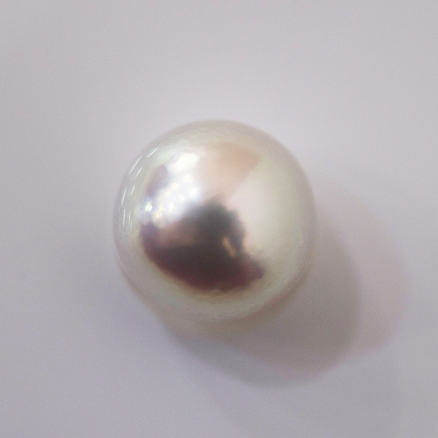 Actual product Rose Certificate from the Pearl Science Laboratory Natural color Loose 10.1mm Akoya Earring Japan Seawater akoyapearl SK-439548