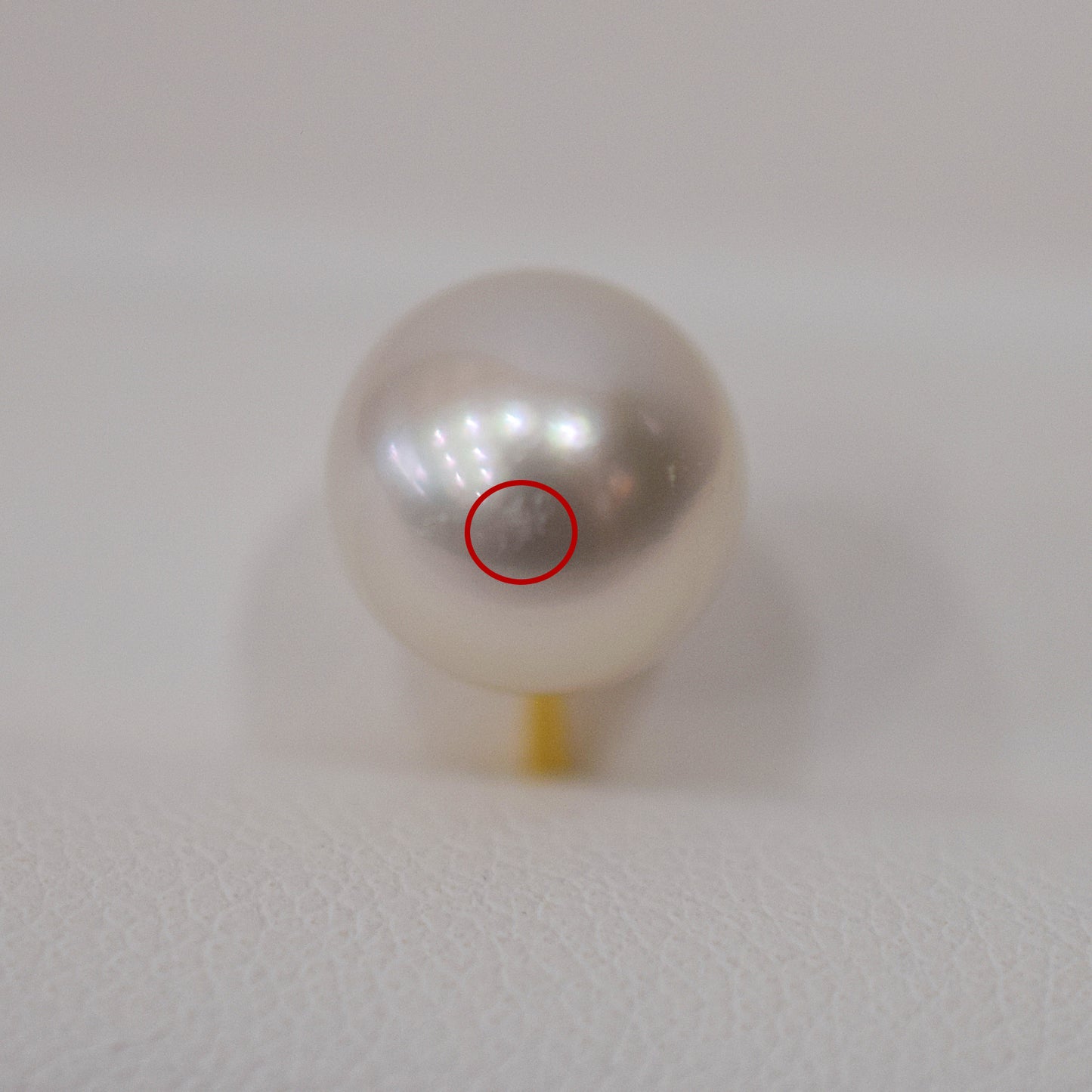 Actual product Rose Certificate from the Pearl Science Laboratory White pink 9mm - 9.5mm Akoya Earring Japan Seawater akoyapearl SK-204113