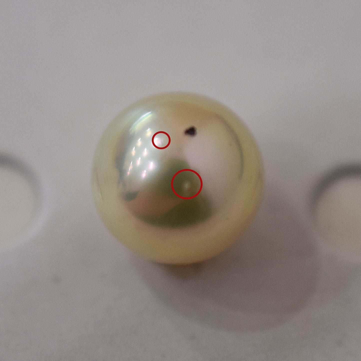 <Loose only> A rank 8.6mm Madama rank Natural 1pc Real Akoya Pearl Ring Ear cuff From Japan Japanese Seawater pearl akoyapearl reenspearl あこや真珠 日本