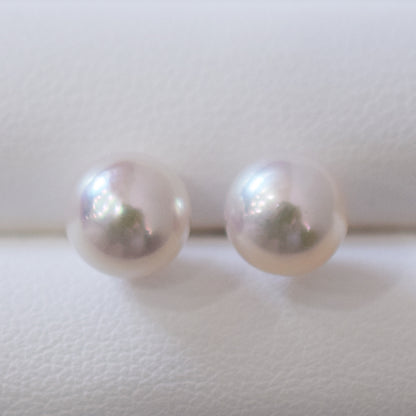Actual product Whitepink 7.5mm - 8mm Seawater Akoya Pearl Stud Earring K14WG From Japan Japanese Seawater reenspearl
