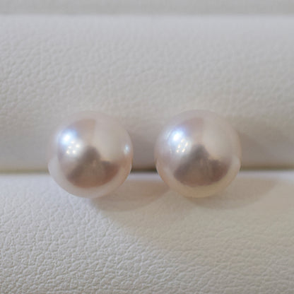 Actual product Whitepink 7.5mm - 8mm Seawater Akoya Pearl Stud Earring K14WG From Japan Japanese Seawater reenspearl