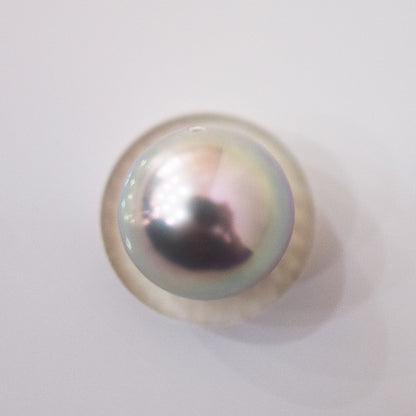 Actual product Blue Rose Certificate from the Pearl Science Laboratory Natural color Loose 7.9mm Akoya Earring Japan Seawater akoyapearl SK-440012