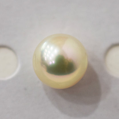 <Loose only> A rank 8.6mm Madama rank Natural 1pc Real Akoya Pearl Ring Ear cuff From Japan Japanese Seawater pearl akoyapearl reenspearl あこや真珠 日本