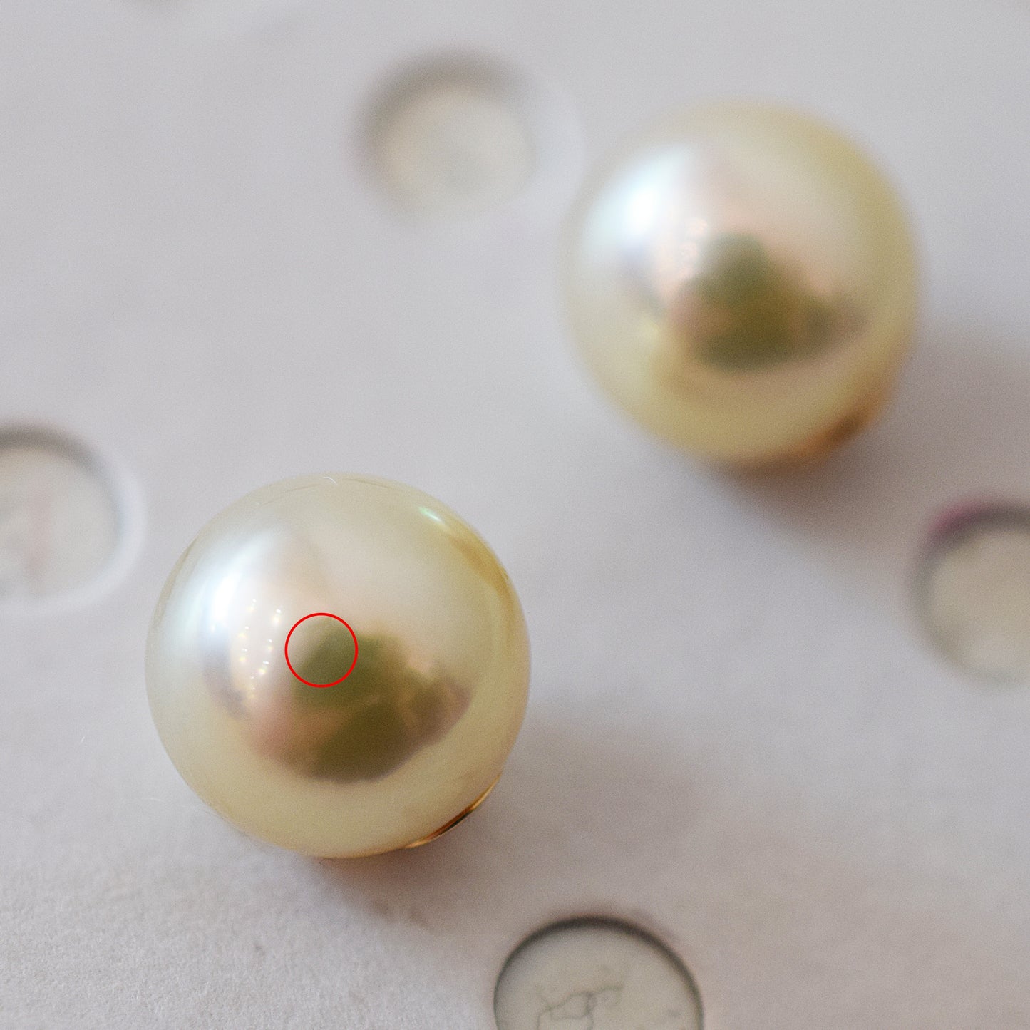 <SALE> Limited to actual item 9mm - 9.5mm Natural color Sea Real Akoya Pearl Earring back Only K18 Japanese akoyapearl reenspearl 日本 天草 真珠 あこや